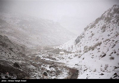 طیارہ حادثہ؛ جاں بحق ہونے والے افراد کی تلاش جاری/ 32 لاشیں برآمد