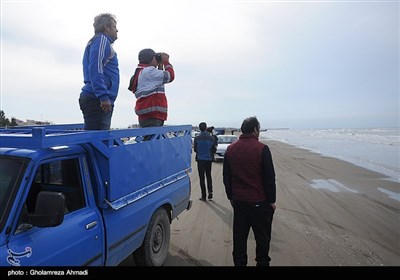 ادامه تجسس برای یافتن اجساد صیادان در جویبار