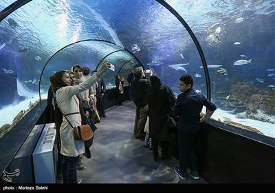 اولین تونل آکواریوم ایران در اصفهان