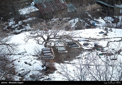 همه این شگفتیها در کنار بارگاه ملکوتی امام زاده حال و هوایی خاص را بر این مکان مقدس حاکم ساخته و حس نزدیکی به خدا به واسطه قرار گرفتن در بلندای کوه و دیدن این همه شگفتی،بیشتر در این مکان حس می شود.