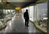 آذربایجان‌غربی| موزه تاریخ طبیعی ارومیه برای بازدید گردشگران نوروزی دایر شد