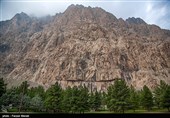 درختان کاجستان بیستون ایستاده میسوزند