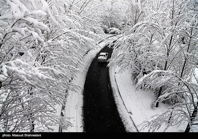 زمستان برفی تهران 