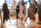 اشاعه پدیده غیربهداشتی عرضه غیرمجاز دام در کرمانشاه؛ مردم از مراکز غیرمجاز گوشت خریداری نکنند