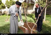 امام خامنه‌ای امسال چه درختانی کاشتند؟