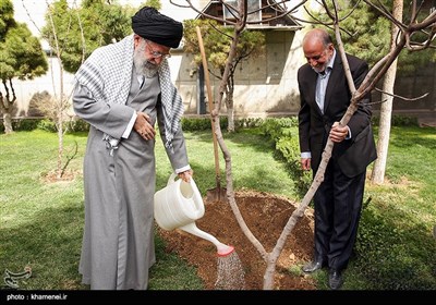 Ayatollah Khamenei Plants Saplings on Tree Plantation Day