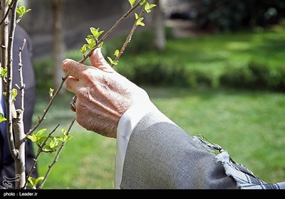 Ayatollah Khamenei Plants Saplings on Tree Plantation Day