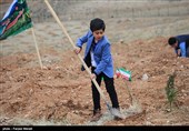 کرمان| طرح باغبان کوچولو با حضور ‌2000 کودک کرمانی اجرا شد‌
