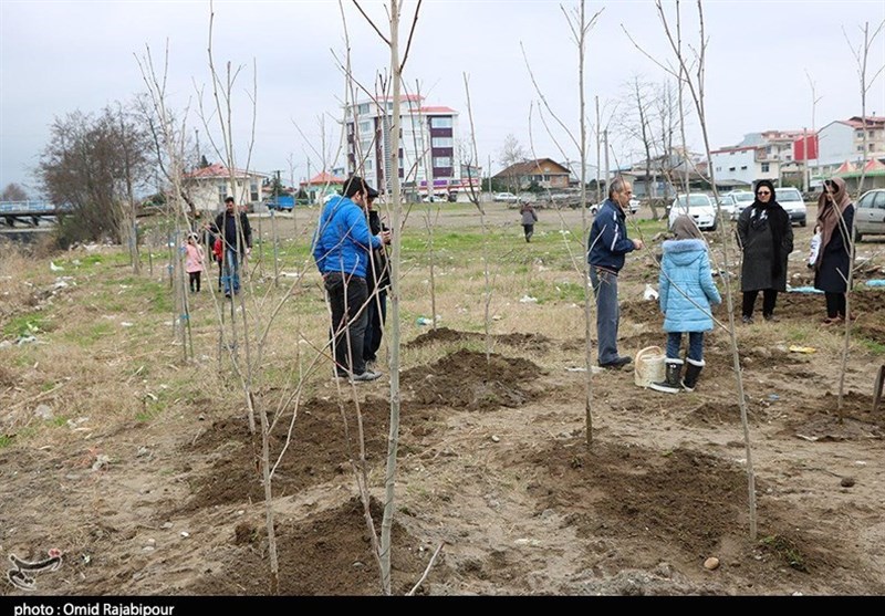 گلستان| کاشت نهال به یاد مادران شهدای استان گلستان در گنبدکاووس