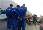 بوشهر|سارقان منازل در دشتستان دستگیر شدند