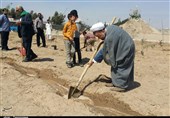 زاهدان| غرس 60 نهال به نیت 60 شهید مسجد حضرت علی بن ابیطالب(ع) + تصویر
