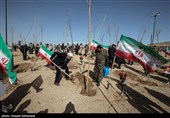 40 هزار اصله نهال در سطح شهر کرمانشاه کاشت می‌شود