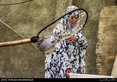 همسر آقای حسین سلطانی او را در پرورش ماهی همیاری می کند
