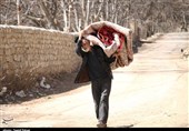 بجنورد | قالیشویی سنتی مردم روستانشین خراسان شمالی در آستانه بهار+تصاویر