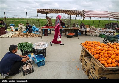 بالصور.. سوق بندر ترکمان شمال شرق ایران