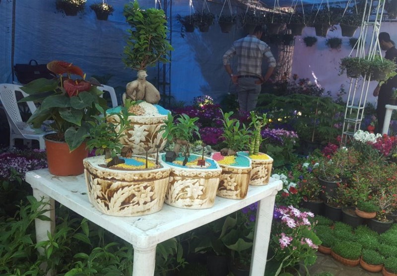 اهواز| نمایشگاه گل و گیاه در اهواز برپا شد + تصاویر