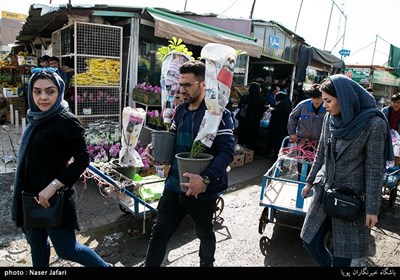 Iranians Greet New Year at Flower Markets