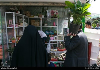 Iranians Greet New Year at Flower Markets