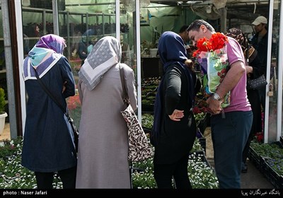 Iranians Greet New Year at Flower Markets