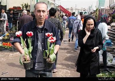 Iranians Greet New Year at Flower Markets