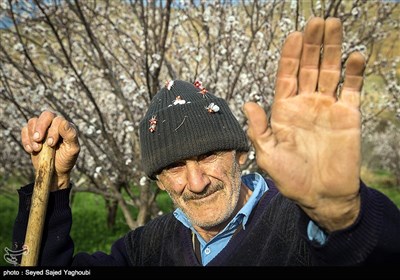 Iran's Beauties in Photos: Spring in Ardabil