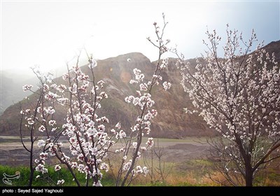 Iran's Beauties in Photos: Spring in Ardabil