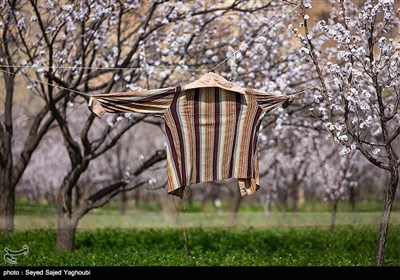 Iran's Beauties in Photos: Spring in Ardabil