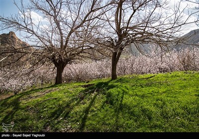 Iran's Beauties in Photos: Spring in Ardabil