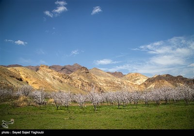 Iran's Beauties in Photos: Spring in Ardabil