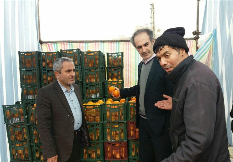 450 تُن میوه شب عید قم ذخیره‌سازی می‌شود