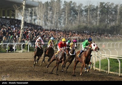 ایران کے صوبہ گلستان کے علاقے گنبد کاووس میں گھڑ سواری مقابلے