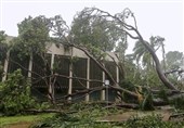 Thousands of Homes without Power after Cyclone Hits Australia