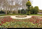 25 هکتار از عرصه کاخ مروارید برای ایجاد باغ گلها اختصاص یافت