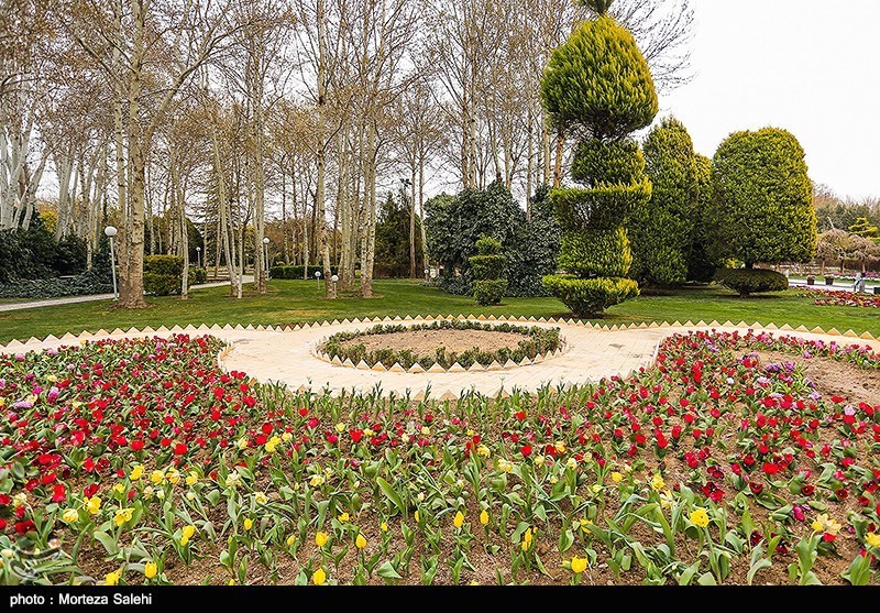 25 هکتار از عرصه کاخ مروارید برای ایجاد باغ گل‌ها اختصاص یافت