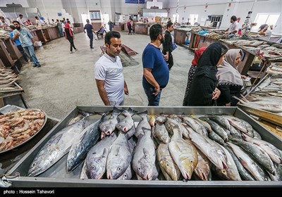 تقرير مصور.. أجواء ما قبل عيد النوروز في جزيرة كيش