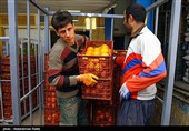 میوه شب عید به اندازه کافی در آذربایجان‌غربی ذخیره‌سازی شده است