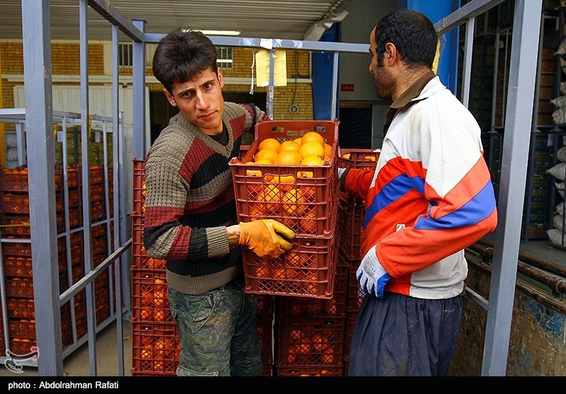 بیرجند| 170 تن سیب و پرتقال در خراسان جنوبی توزیع شد