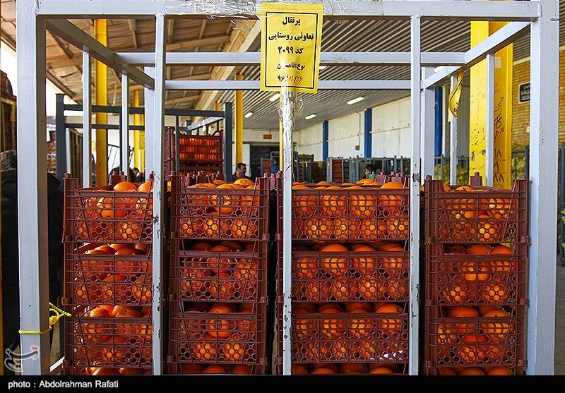 ذخیره‌سازی 600 تن میوه شب عید در ایلام آغاز شد