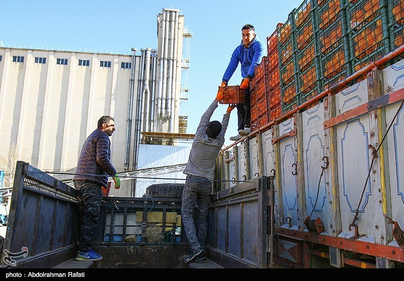 1800 تن میوه شب عید در استان مرکزی ذخیره‌سازی شد؛ توزیع ‌از امروز در 54 مرکز‌