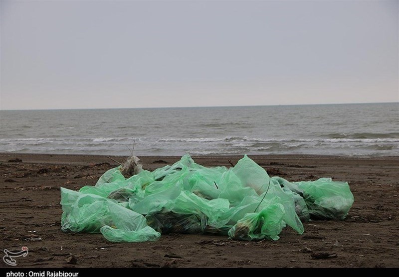 دوست‌داران محیط زیست سواحل کیش را پاکسازی کردند