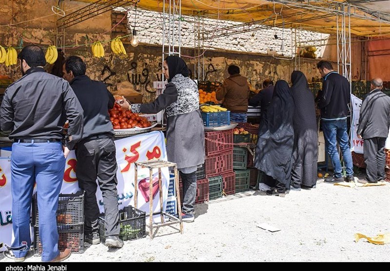 بیرجند| 300 تن میوه و 750 تن گوشت در استان خراسان جنوبی توزیع شد