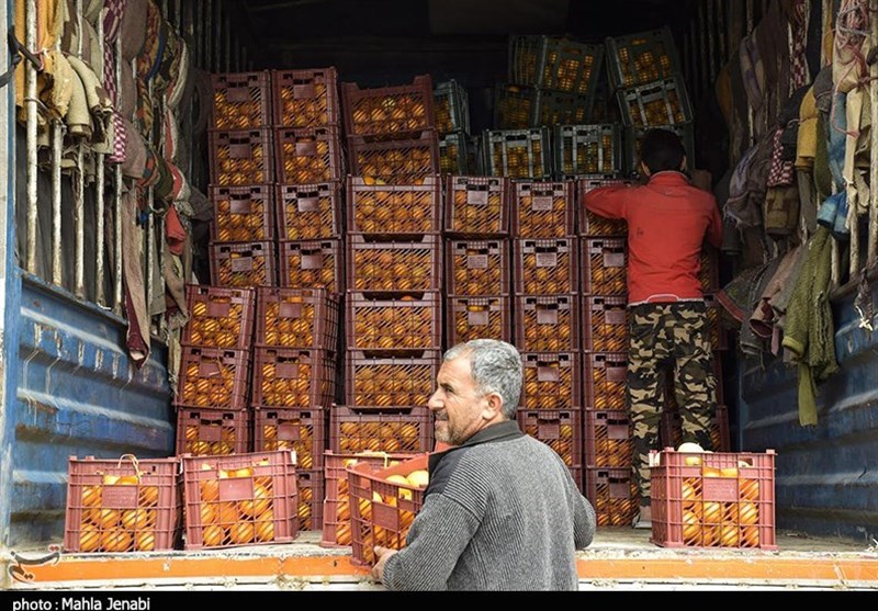 رئیس اتحادیه بارفروشان: کمبود میوه داریم + سند