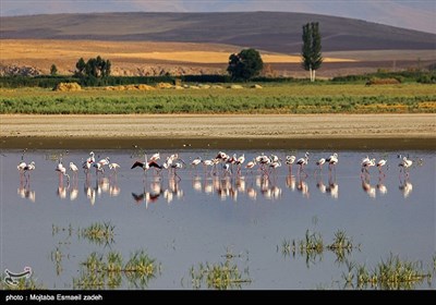 Iran's Beauties in Photos: West Azarbaijan Province