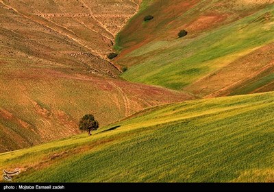 Iran's Beauties in Photos: West Azarbaijan Province