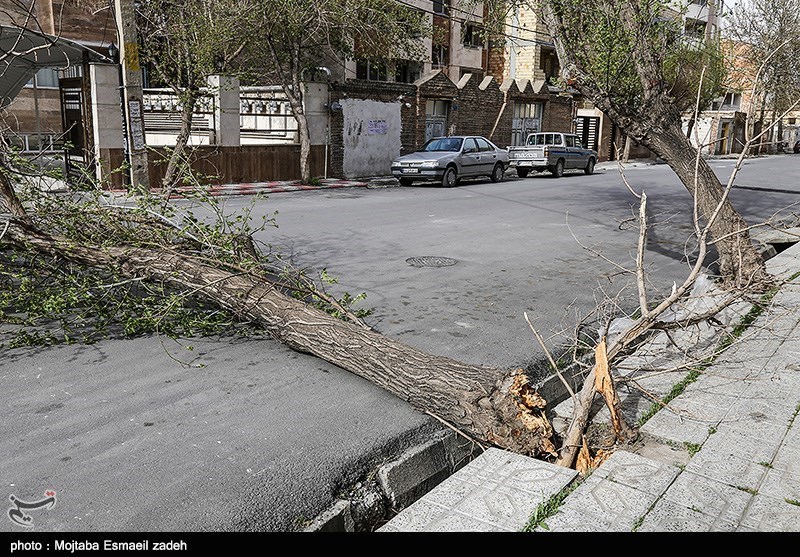 ارومیه| آمادگی شرکت توزیع نیروی برق آذربایجان غربی برای تندباد آخر هفته