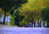 بررسی پیشنهاد نامگذاری «روز خرمآباد» در شورای فرهنگ عمومی