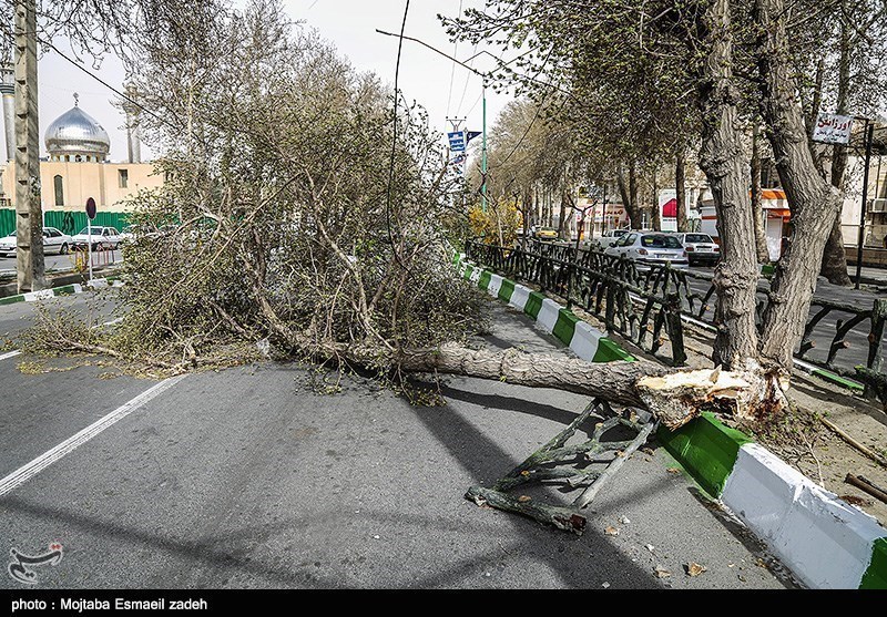 خسارت 7 میلیارد ریالی وزش شدید باد در اصفهان؛ آغاز سرمازدگی دیررس بهاره در باغات