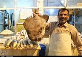 خوزستان|بازار ماهی فروش‌های بندر امام خمینی(ره) به‌روایت تصویر