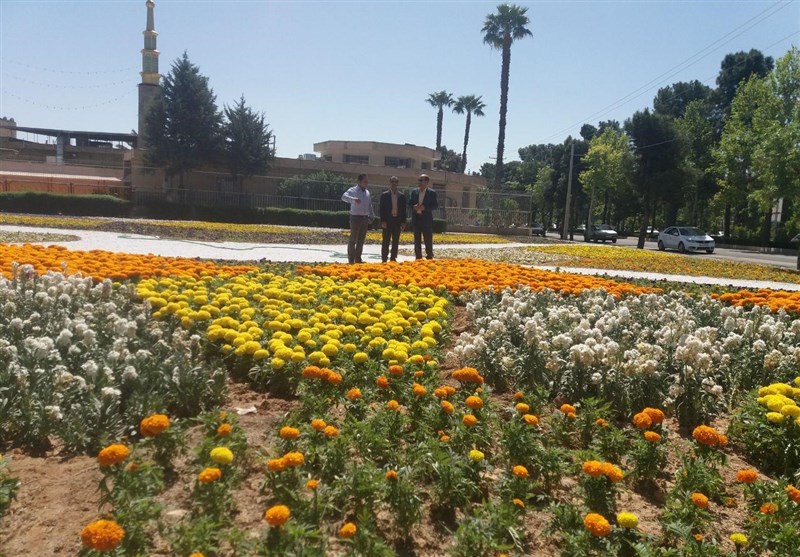شیراز| فرش گل 2 هزار متری برای مهمانان نوروزی پهن شد