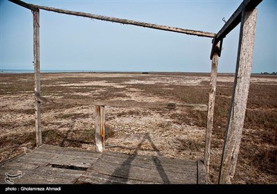 خشکی ساحل دریا در گلوگاه